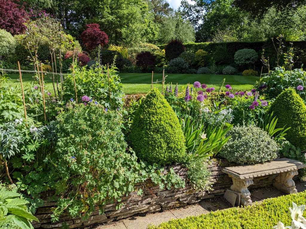 AnnualsWithShrubs