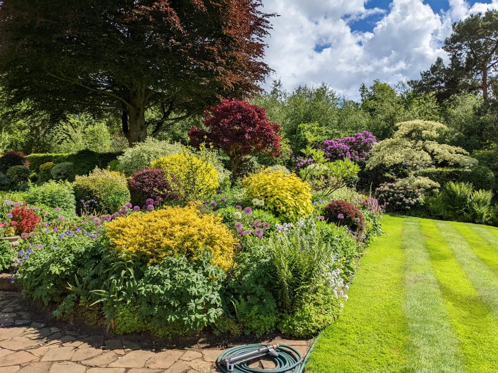 annuals with shrubs